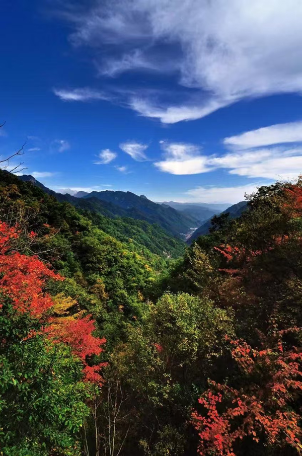 秦嶺關(guān)子溝尾礦庫(kù)閉庫(kù)工程_副本.png